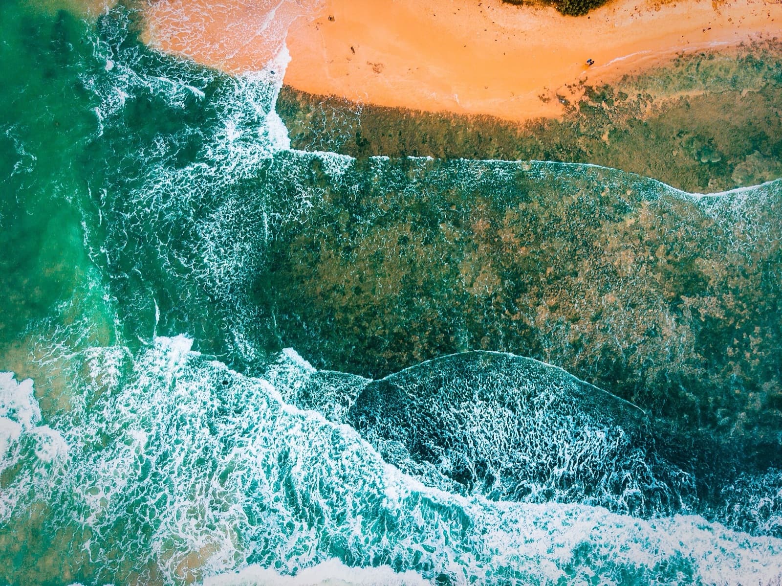 Hikkaduwa. Reef straight off the beach, and turtles most mornings.