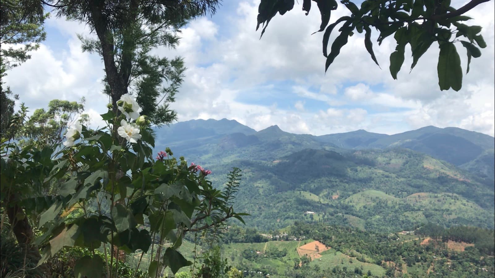 Knuckles Range Trekking